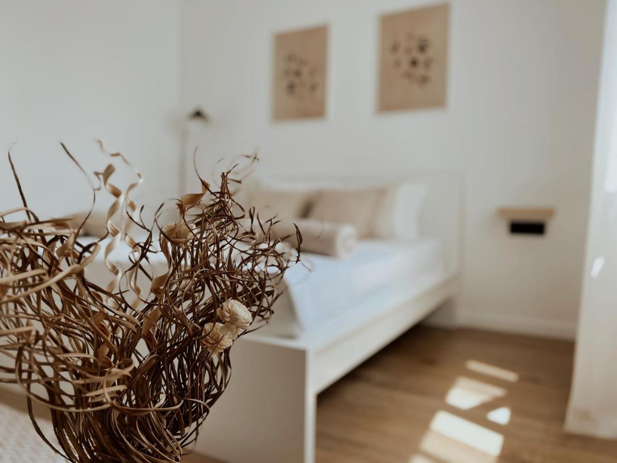 Dawn & Dusk - Modern Two Bedroom Apartment With Mountain Views Čilipi 外观 照片